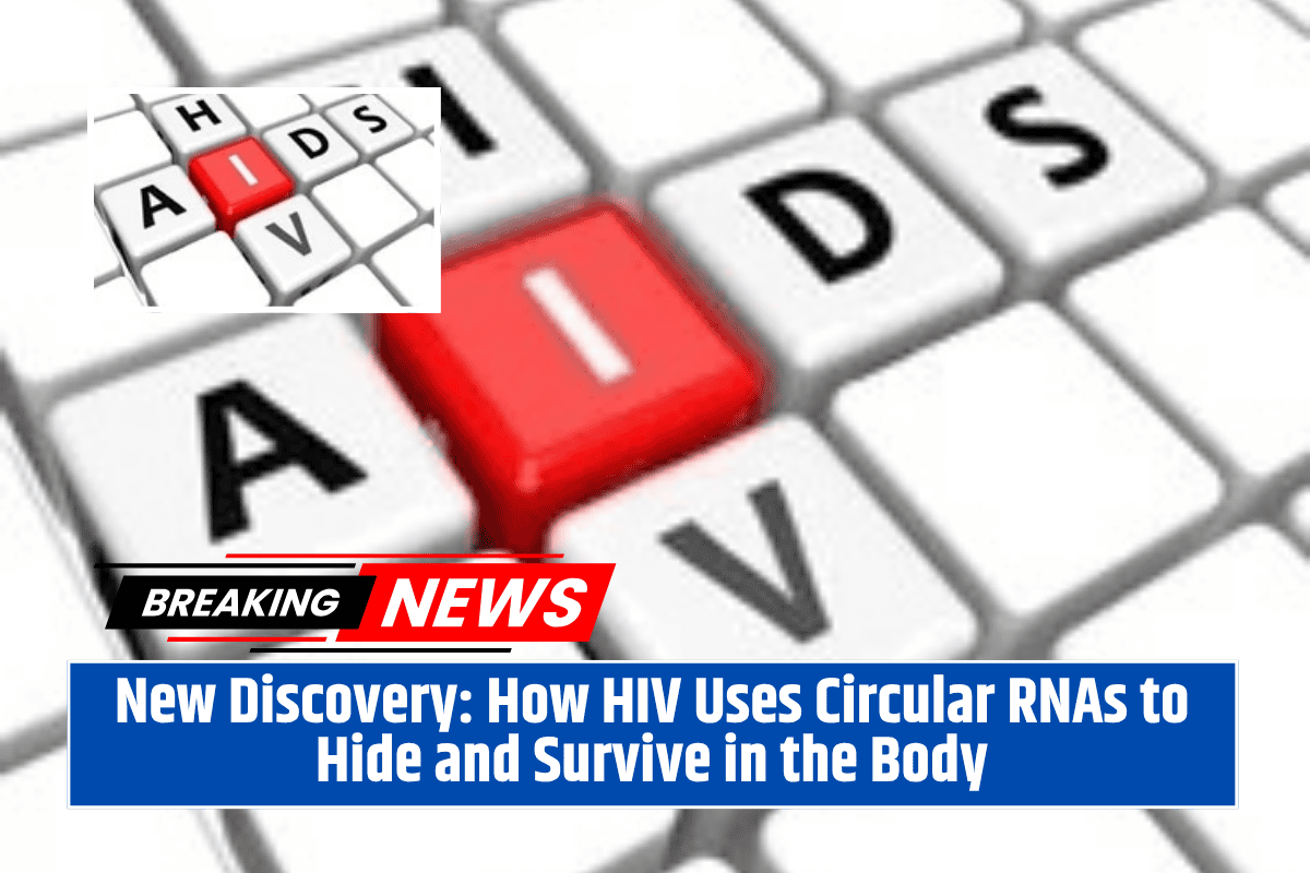 New Discovery: How HIV Uses Circular RNAs to Hide and Survive in the Body